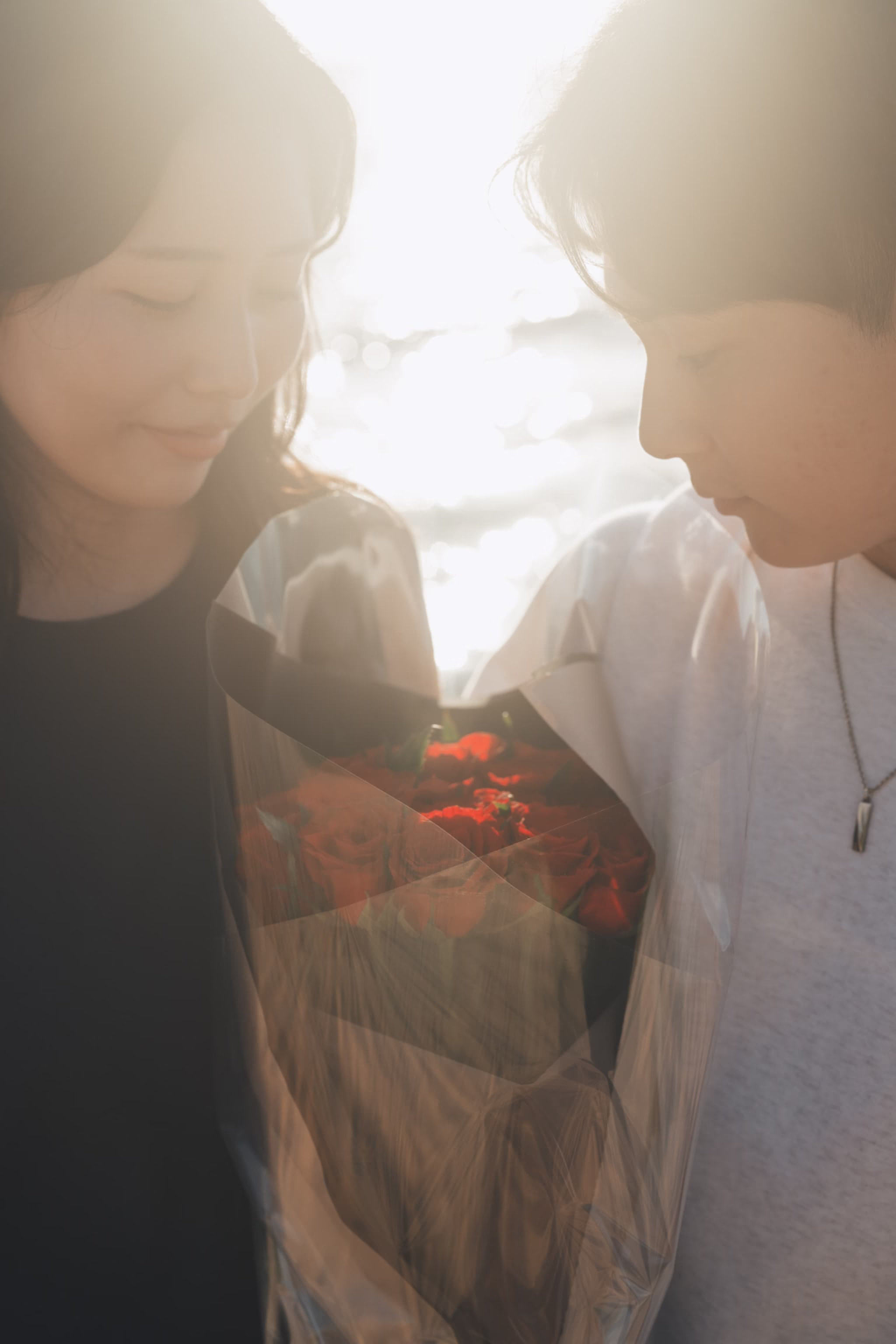 星空プロポーズプラン